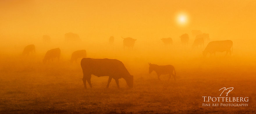 I Challenged Myself To Take Creative Photos Within A 15Km Radius Of My Home I Challenged Myself To Take Creative Photos Within A 15Km Radius Of My Home