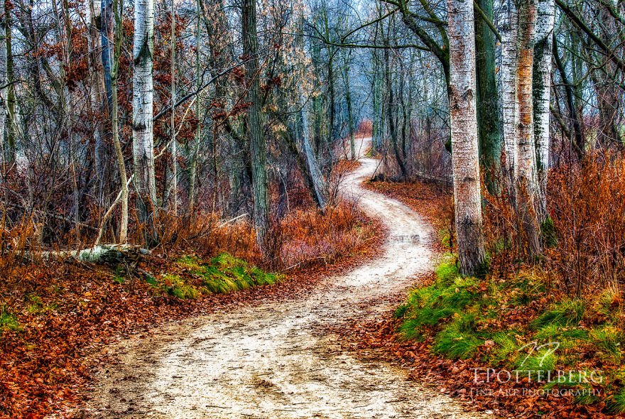 I Challenged Myself To Take Creative Photos Within A 15Km Radius Of My Home