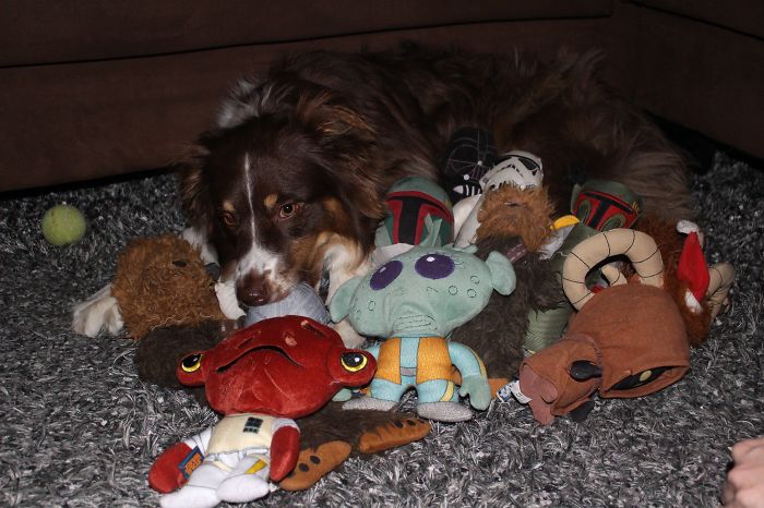 These Are Not The Toys You're Looking For