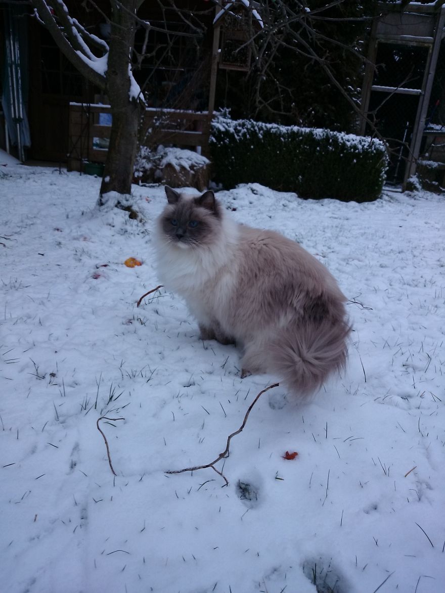 Walking In A Winterwonderland