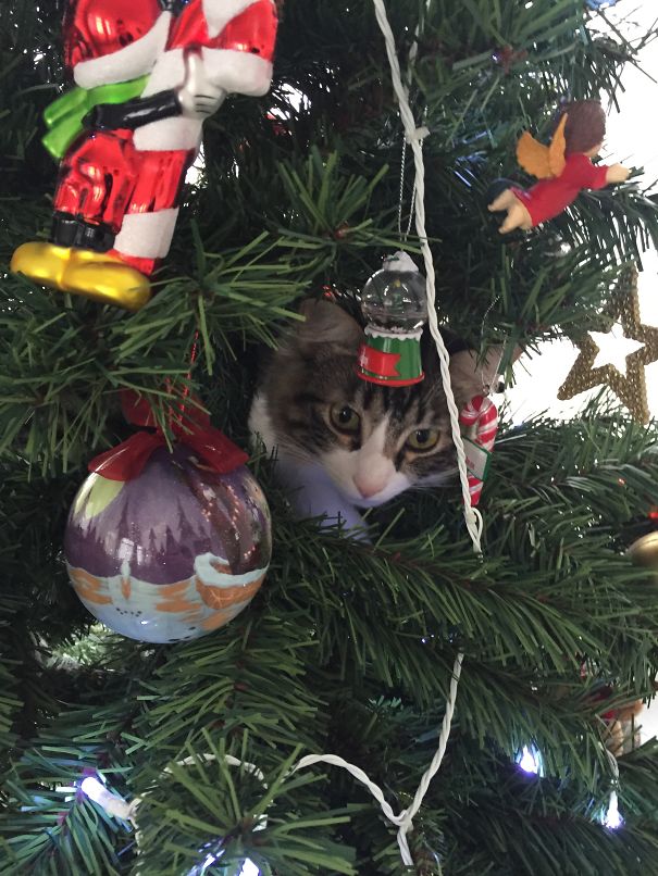 He Will Never Find Me Here