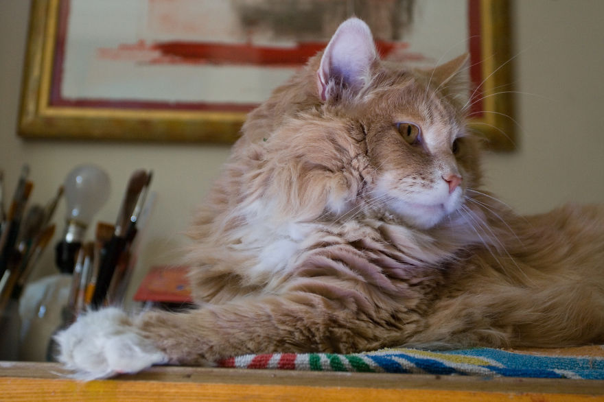 Ginger Posing For Photo