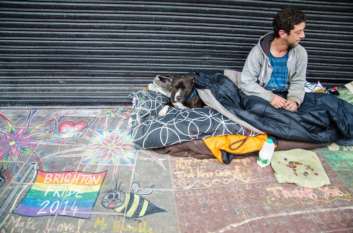 Homeless Man And His Dog During The Brighton Pride Parade, Uk
