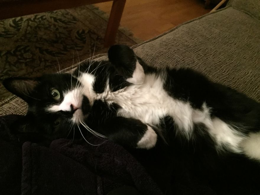 Ready For His Close-up!