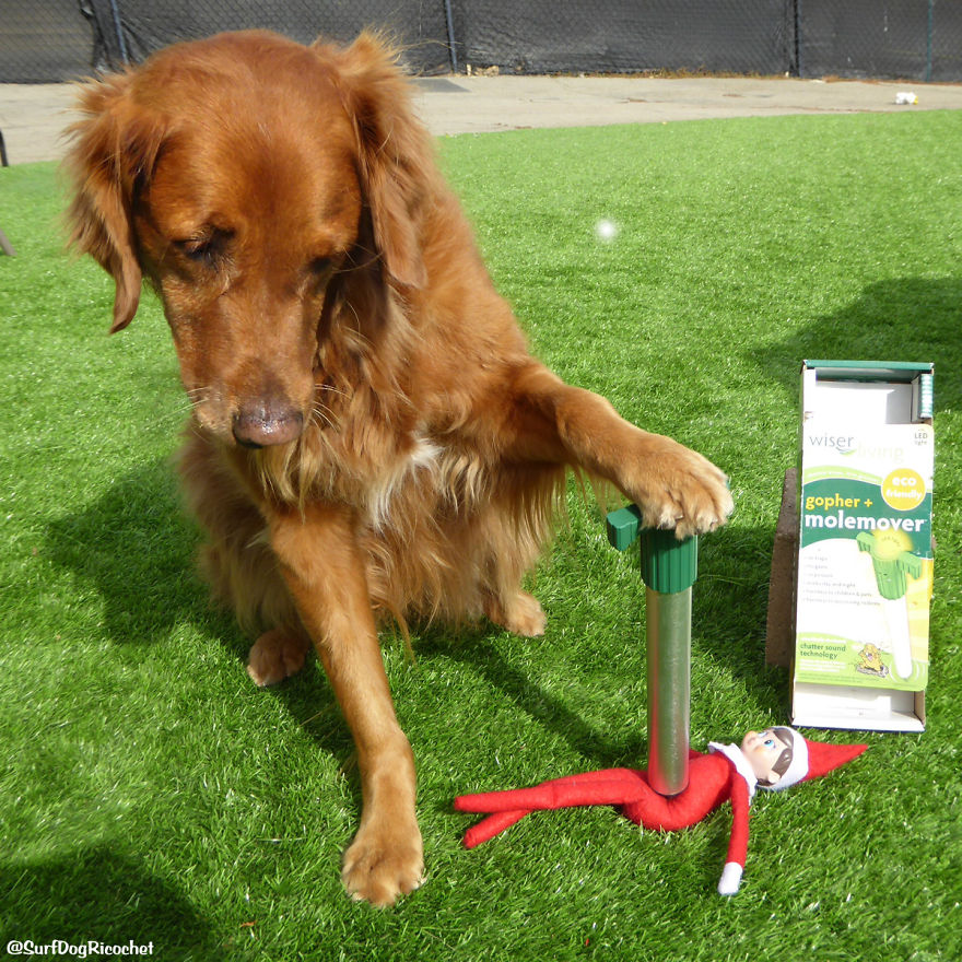 I Read The Directions, But I Like My Way Better