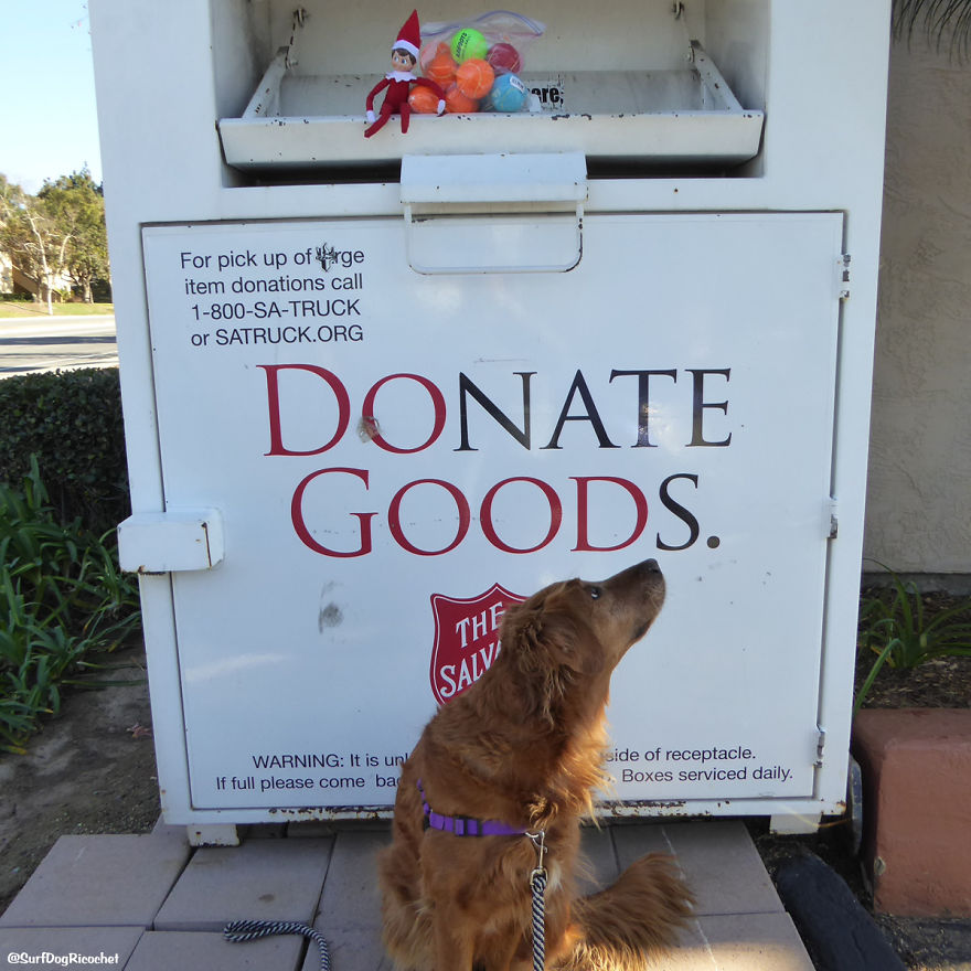 Not My Tennis Balls!