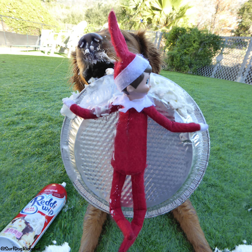 Like I Really Care If You Throw A Pie In My Face