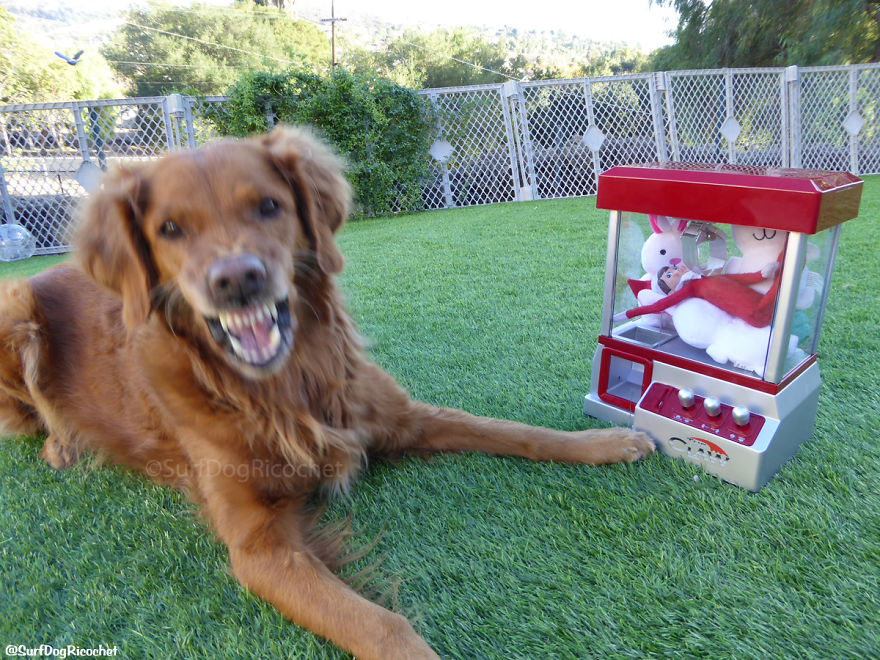 He Brings The "carnie" Out In Me!