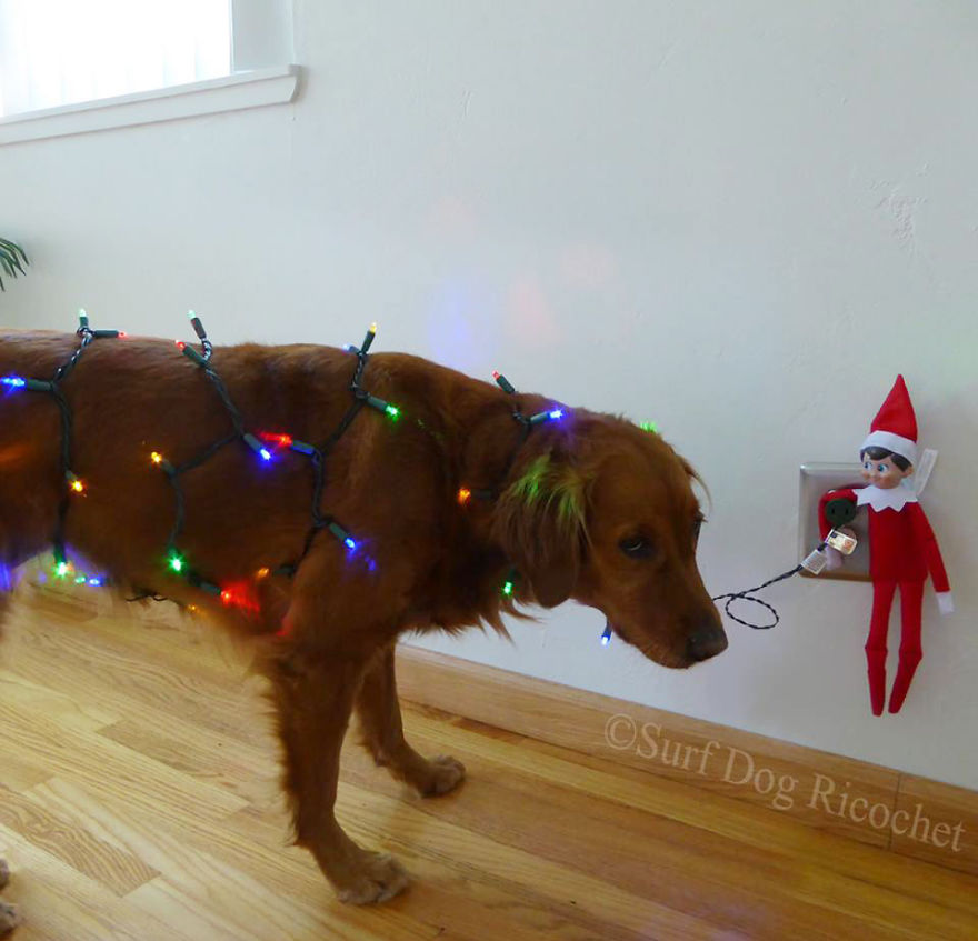 No Animals Were Harmed In Making Of This Photo