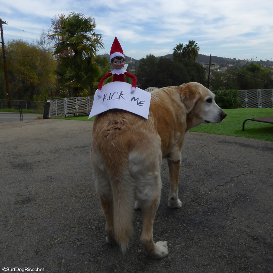 Keep The Magic Markers Away From The Elf