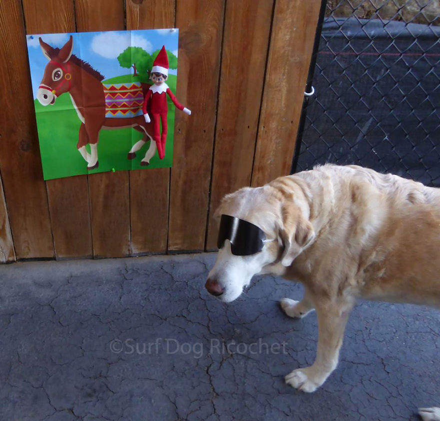 Pin The Tail On The...