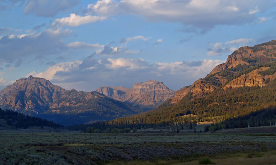 The Lamar Valley, Yellowstone Np