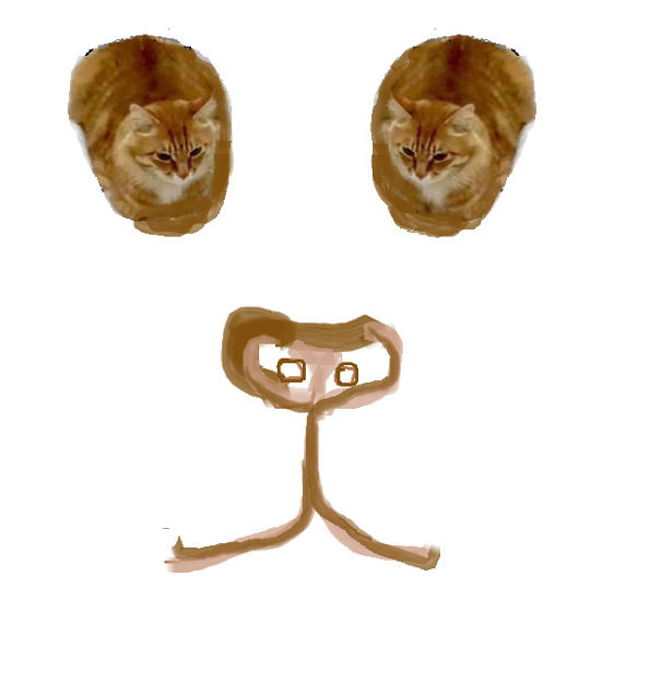 Brain Teaser Panda Cat