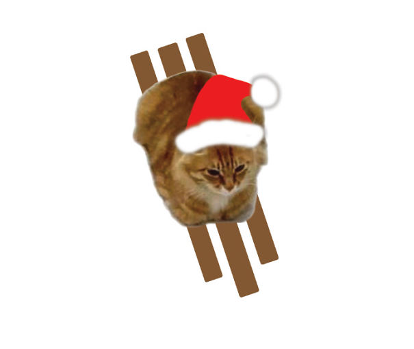 December Cat