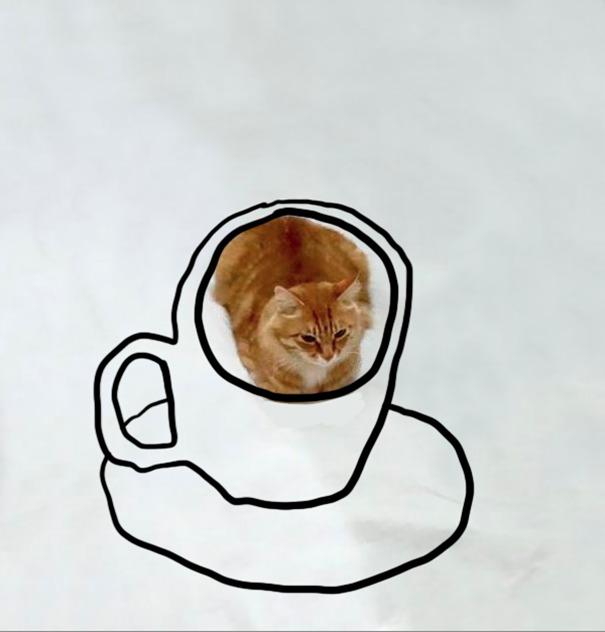 Latte Art Cat