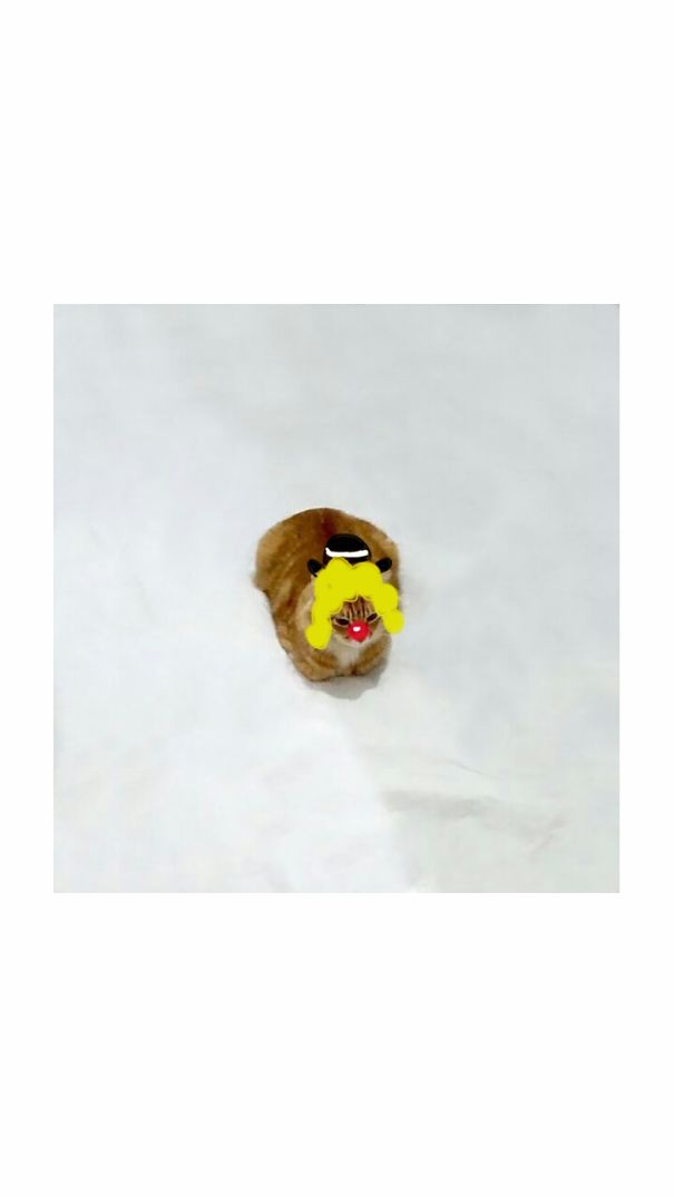 I Am Funnier Than You