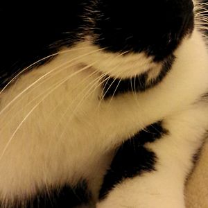 jasmine_winter_music avatar