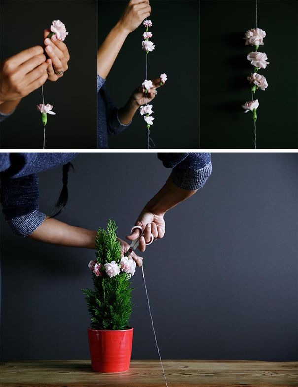 The Sill - Apartment-friendly Holiday Tree