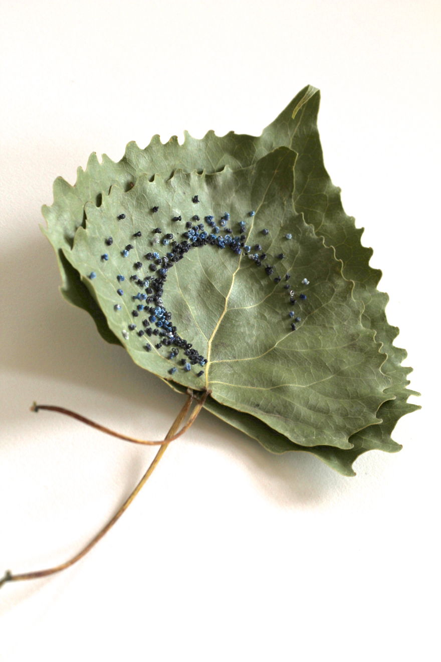I Transform Leaves Into Art With Embroidery I Transform Leaves Into Art With Embroidery