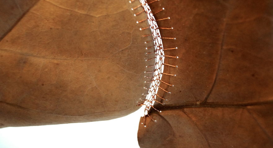 I Transform Leaves Into Art With Embroidery I Transform Leaves Into Art With Embroidery