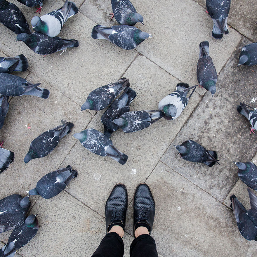 Venetian Floors: I Travelled To Venice And Found Out They Have Most Sumptuous Floor In The World