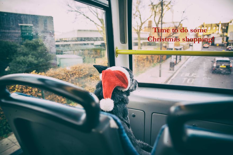 A Dog’s Life In London A Dog’s Life In London