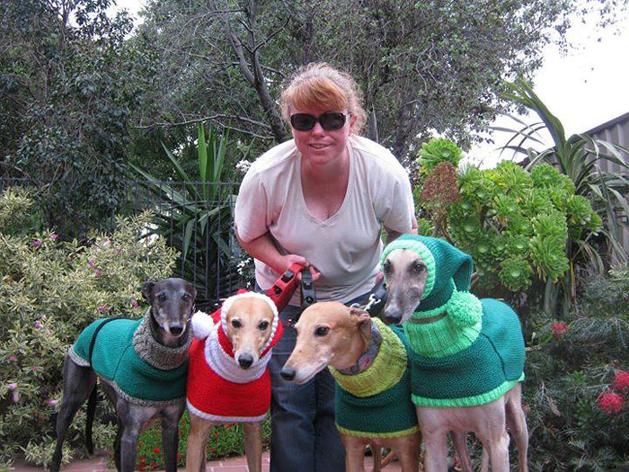 abandoned-greyhounds-christmas-sweaters-knitted-with-love-jan-brown-3 abandoned-greyhounds-christmas-sweaters-knitted-with-love-jan-brown-3