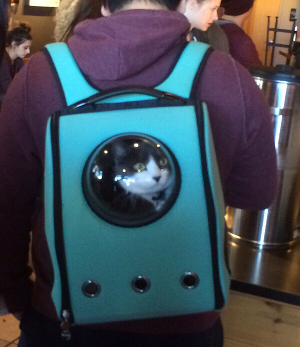 astronaut-pet-bubble-carrier-upet-1 astronaut-pet-bubble-carrier-upet-1