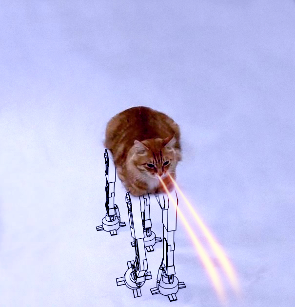 At-at Cat