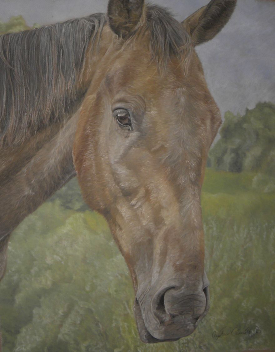 Boss's Surprise Christmas Present Is Ready, All Done With Sponges