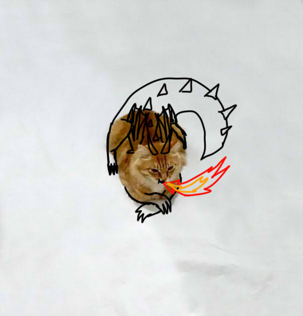 Cat Dragon