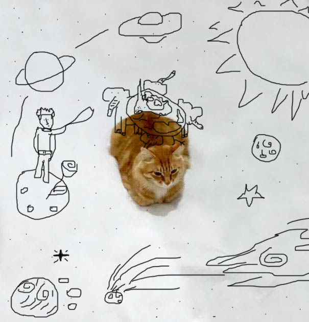 A New Mystery For Astrozoologists...the Giant Cat