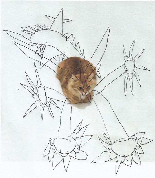 Cat Monster (by Tom, Age 6)