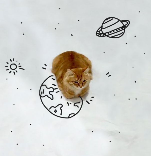 Space Cat