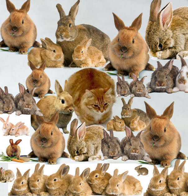 Day 33... They Suspect Nothing !