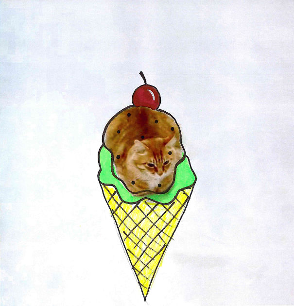 The Cat That Got The (ice) Cream #icatcare