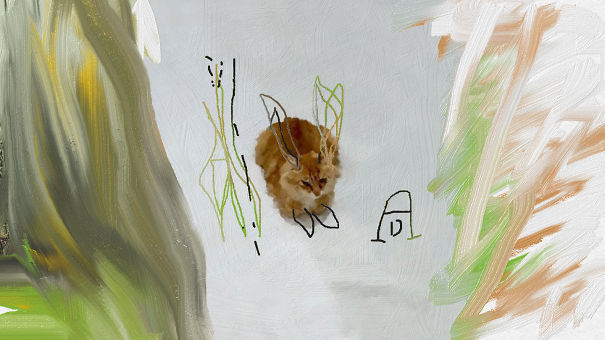 After Some Lessons Of History Of Arts - Dürercat