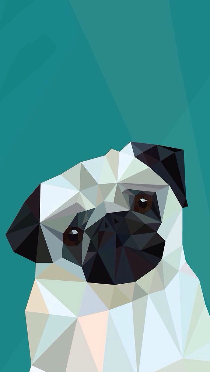 Cute And Funny Wallpapers