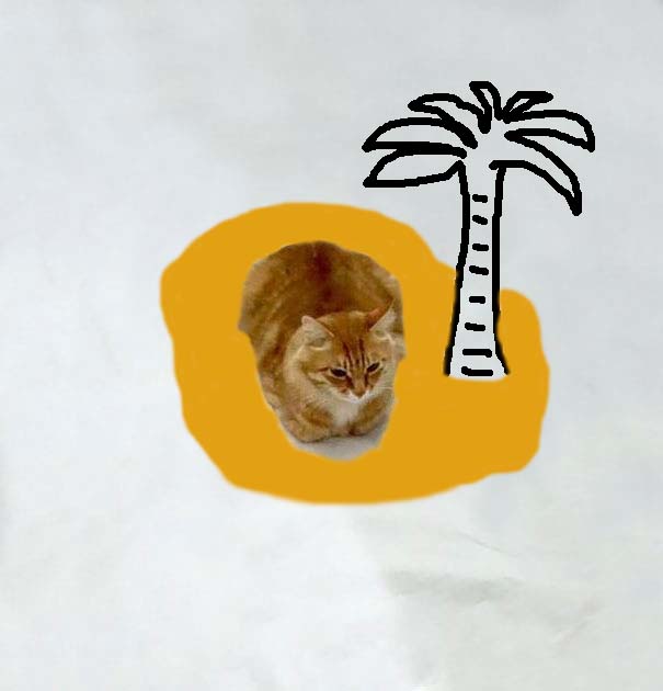 Cat On An Island