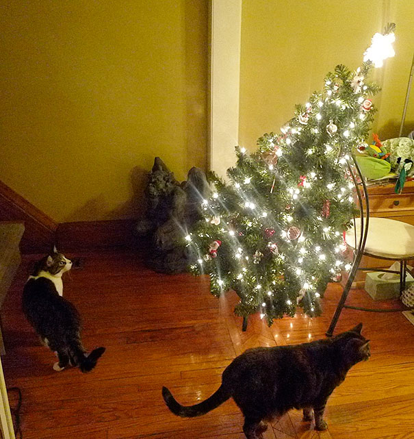 Cats near a tilted Christmas tree on the floor, with lights and ornaments shimmering, creating a festive scene.