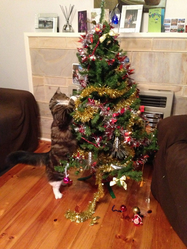 Cat playing with a Christmas tree, tangled in decorations, representing a funny holiday moment.