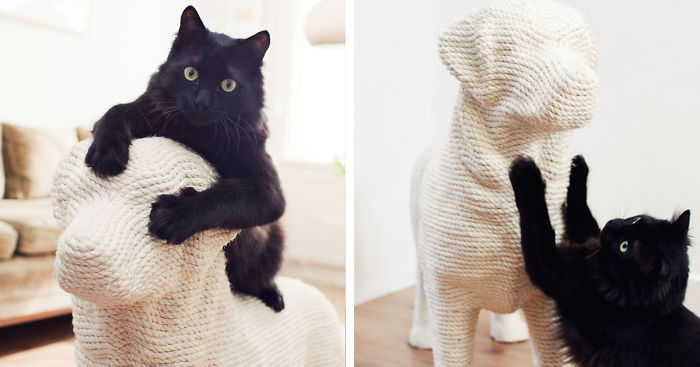 Dog-Shaped Scratching Post Lets Cats Have Their Sweet Revenge