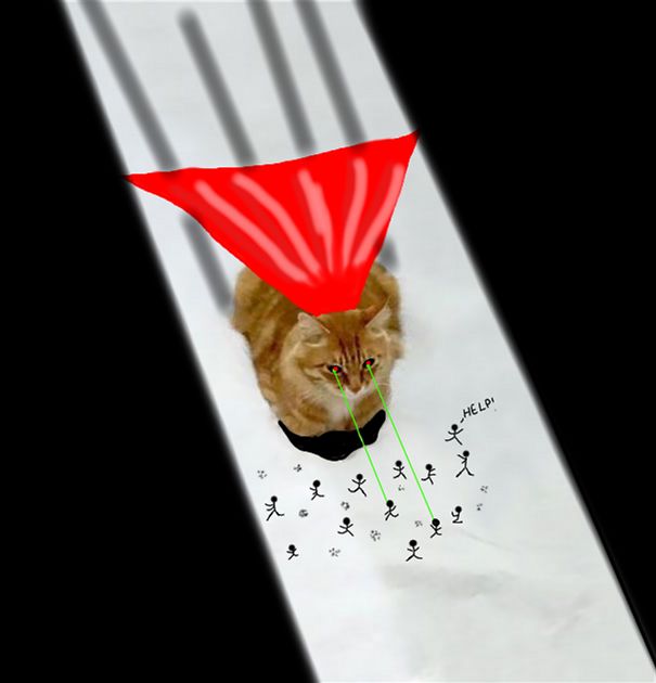 Super Cat .vs. Humanity (whitewittyfawn On Instagram)