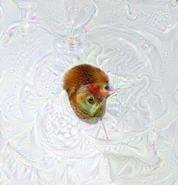 A Cat's Deep Dream