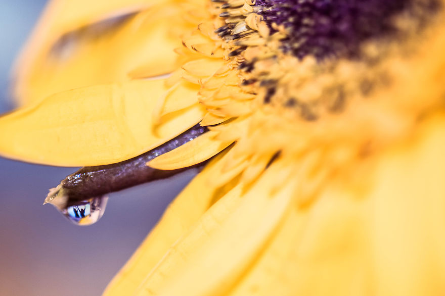 Drops Of Memories: I Capture Memories In Water Droplets