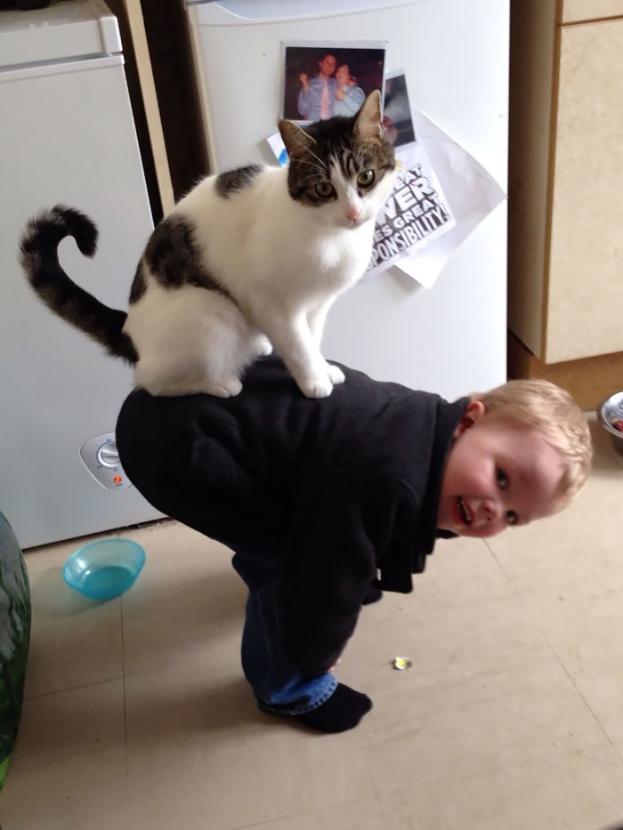 My Son And My Cat Have A Weird Relationship