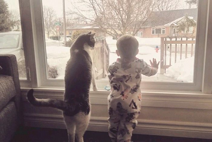 Baby And Cat
