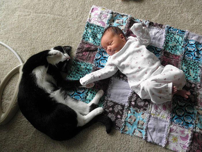 My Cat Plopped Down And Held Hands With My Newborn Baby Girl
