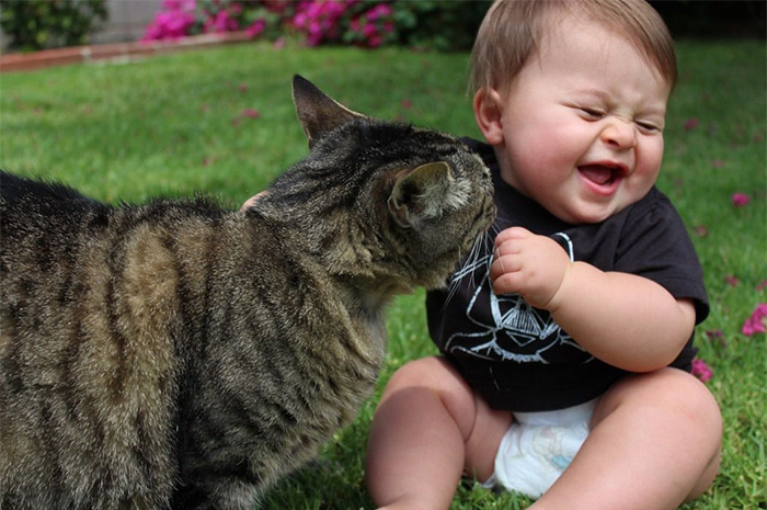 Baby With A Cat