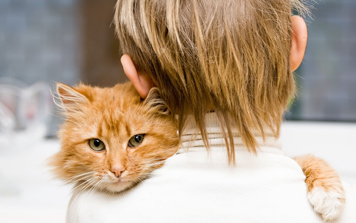 Boy Hugs His Cat